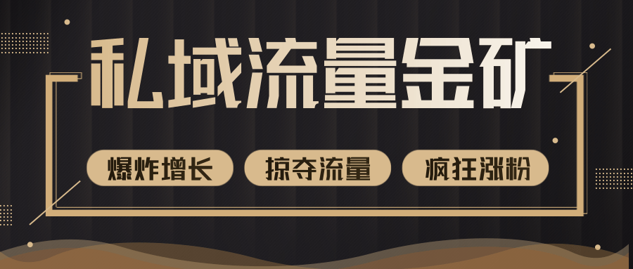 价值2200元私域流量的金矿，循环获取各大媒体精准流量，无限复制网红的精准流量！-网创资源社