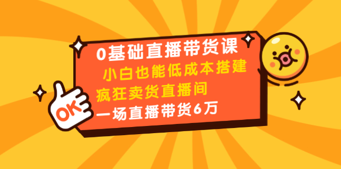 0基础直播带货课：小白也能低成本搭建疯狂卖货直播间：1场直播带货6万-网创资源社