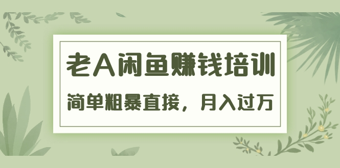 《老A闲鱼赚钱培训》简单粗暴直接，月入过万真正的闲鱼战术实课（51节课）-网创资源社