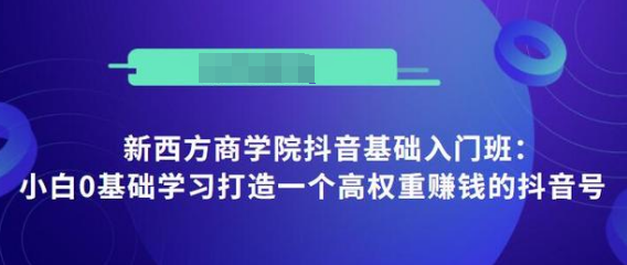 抖音基础入门班：小白0基础学习打造一个高权重赚钱的抖音号-网创资源社