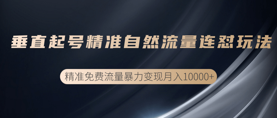 垂直起号精准自然流量连爆玩法，精准引流暴力变现月入10000+-网创资源社