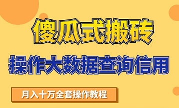 搬砖操作大数据查询信用项目赚钱教程，祝你快速月入6万-网创资源社