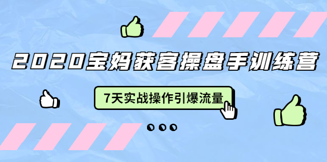 2020宝妈获客操盘手训练营：7天实战操作引爆 母婴、都市、购物宝妈流量-网创资源社