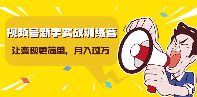 视频号新手实战训练营，让变现更简单，玩赚视频号，轻松月入过万-网创资源社