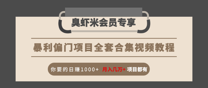 暴利偏门项目全套合集视频教程：你要的日赚1000+月入几万+项目都有-网创资源社