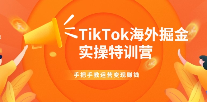 TikTok海外掘金实操特训营：手把手教运营变现赚钱-网创资源社