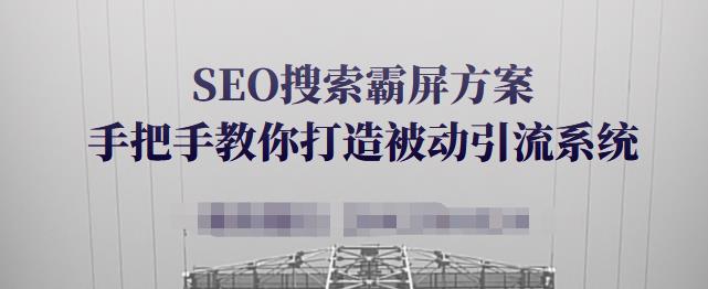 SEO搜索霸屏方案，手把手教你打造被动引流系统【视频课程】-网创资源社