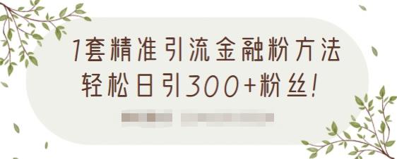 1套精准引流金融粉方法，轻松日引300+粉丝-网创资源社