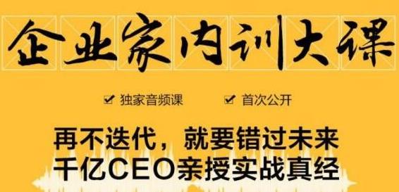 企业家内训大课，未来企业必学经验，价值1299元-网创资源社