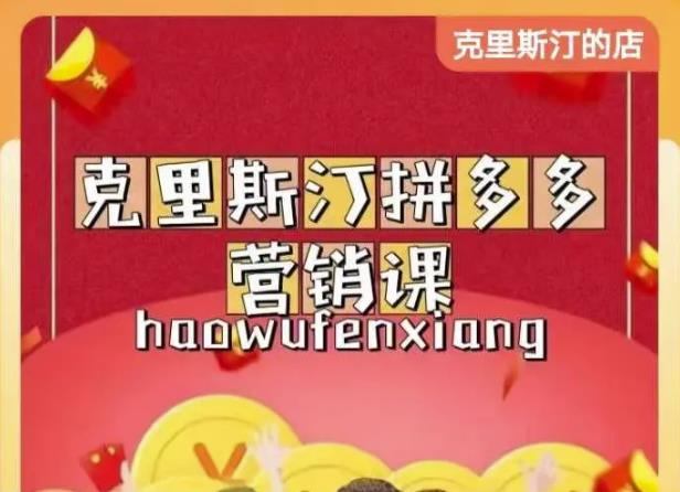 克里斯汀拼多多运营课，适合小白初涉平台，低成本入门-网创资源社