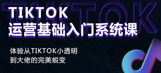 Tiktok实操进阶课程，体验从tiktok小透明到大佬的完美蜕变-网创资源社