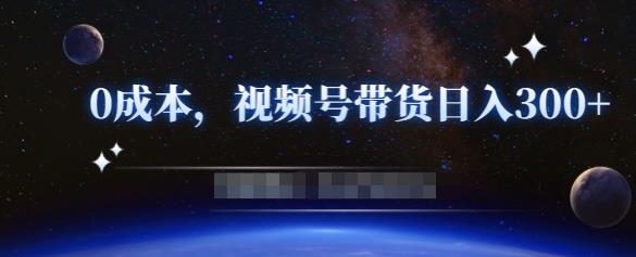 零基础视频号带货赚钱项目，0成本0门槛轻松日入300+【视频教程】-网创资源社