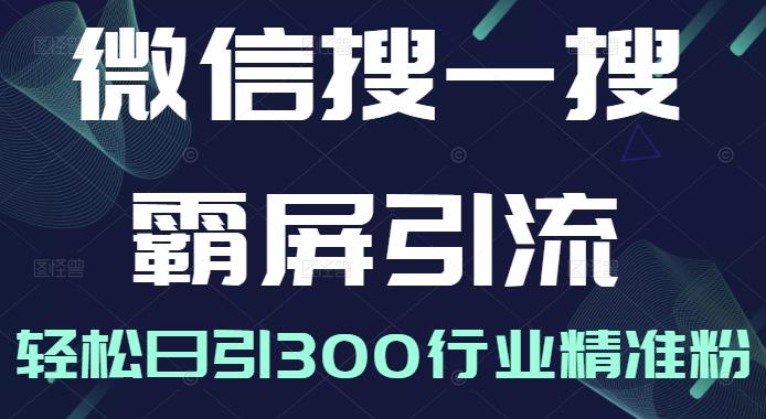 微信搜一搜霸屏引流课，打造被动精准引流系统，轻松日引300行业精准粉-网创资源社