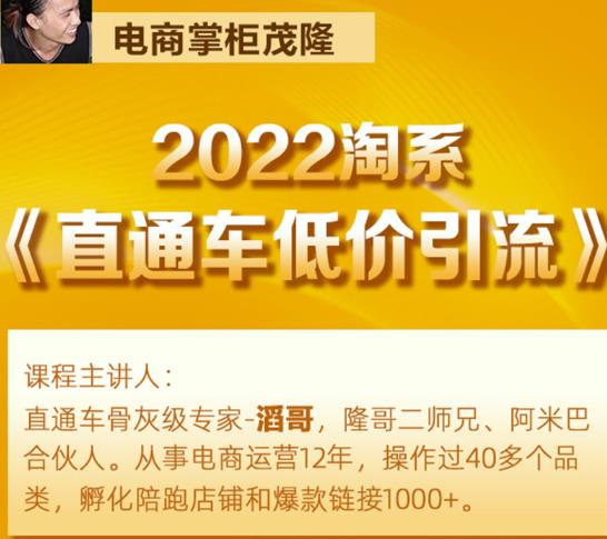 茂隆2022直通车低价引流玩法，教大家如何低投入高回报的直通车玩法-网创资源社