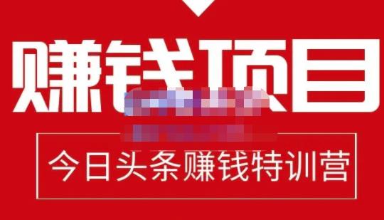 懒人领域·今日头条项目玩法，头条中视频项目，单号收益在50—500可批量-网创资源社