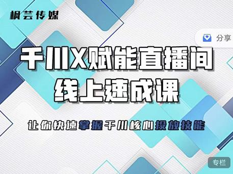 枫芸传媒-线上千川提升课，提升千川认知，提升千川投放效果-网创资源社