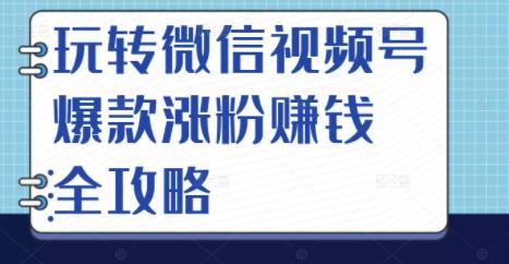 玩转微信视频号爆款涨粉赚钱全攻略，让你快速抓住流量风口，收获红利财富-网创资源社