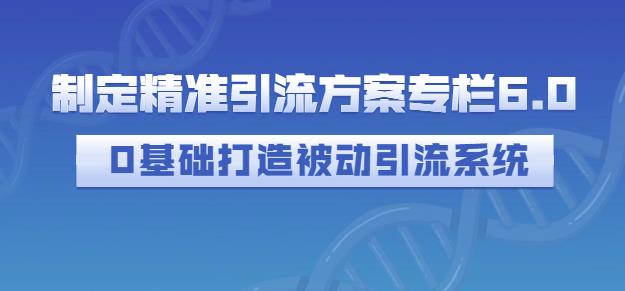 制定精准引流方案专栏6.0，0基础打造被动引流系统-网创资源社