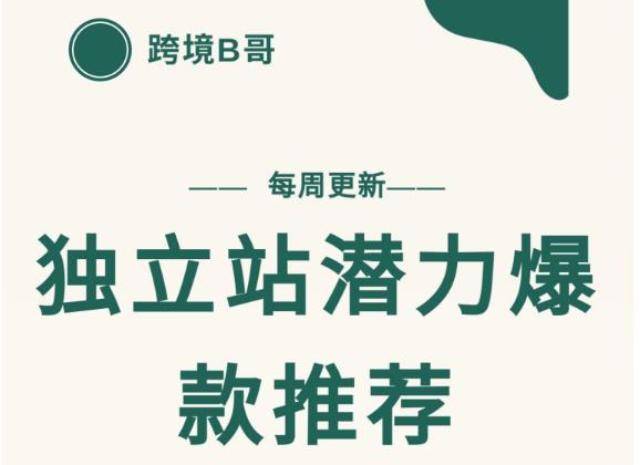 【跨境B哥】独立站潜力爆款选品推荐，测款出单率高达百分之80-网创资源社