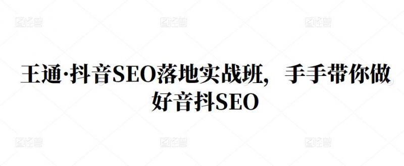 王通·抖音SEO落地实战班，手‬手带你做好音抖‬‬SEO-网创资源社