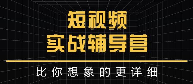 达人队长:短视频实战辅导营，比你想象的更详细-网创资源社