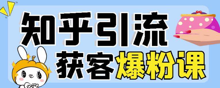 2022船长知乎引流+无脑爆粉技术：每一篇都是爆款，不吹牛，引流效果杠杠的-网创资源社