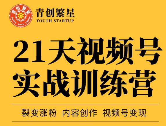 张萌21天视频号实战训练营，裂变涨粉、内容创作、视频号变现 价值298元-网创资源社