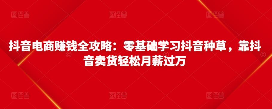 抖音电商赚钱全攻略：零基础学习抖音种草，靠抖音卖货轻松月薪过万-网创资源社