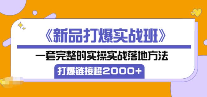 凌童《新品打爆实战班》,一套完整的实操实战落地方法，打爆链接超2000+（28节课)-网创资源社