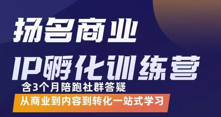 杨名商业IP孵化训练营，从商业到内容到转化一站式学 价值5980元-网创资源社