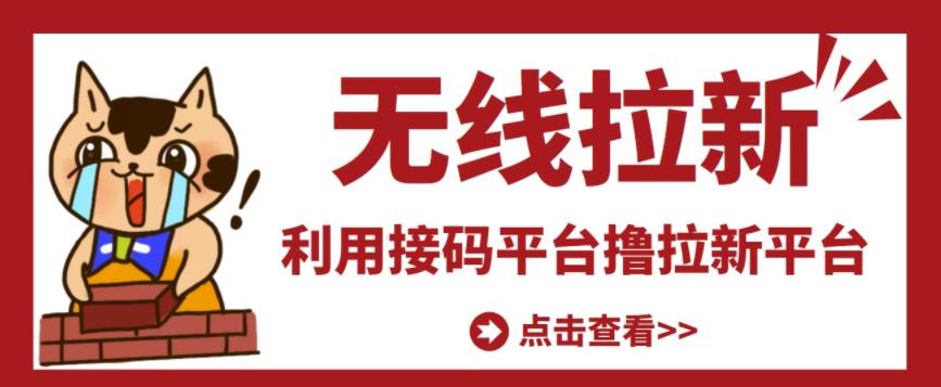 最新接码无限拉新项目，利用接码平台赚拉新平台差价，轻松日赚500+-网创资源社