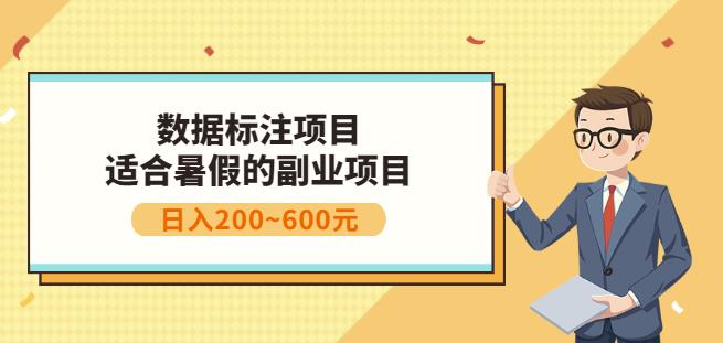 副业赚钱：人工智能数据标注项目，简单易上手，小白也能日入200+-网创资源社