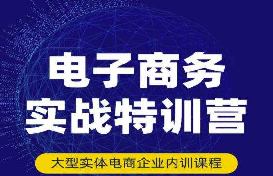 民赛电气内部出品：电子商务实战特训营，全方位带你入门电商，308种方式玩转电商-网创资源社