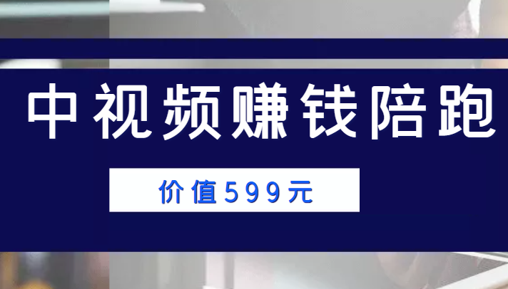 中视频赚钱陪跑，卖中视频账户赚钱收益陪跑项目（价值599元）-网创资源社