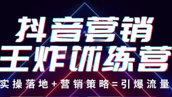 抖音营销王炸训练营，实操落地+营销策略=引爆流量（价值8960元）-网创资源社