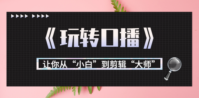 月营业额700万+大佬教您《玩转口播》让你从“小白”到剪辑“大师”-网创资源社