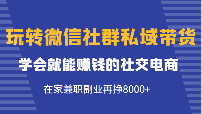 玩转微信社群私域带货，学会就能赚钱的社交电商，在家兼职副业再挣8000+-网创资源社