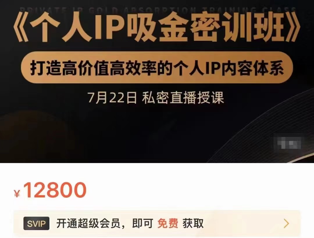 个人IP吸金密训班，打造高价值高效率的个人IP内容体系（价值12800元）-网创资源社