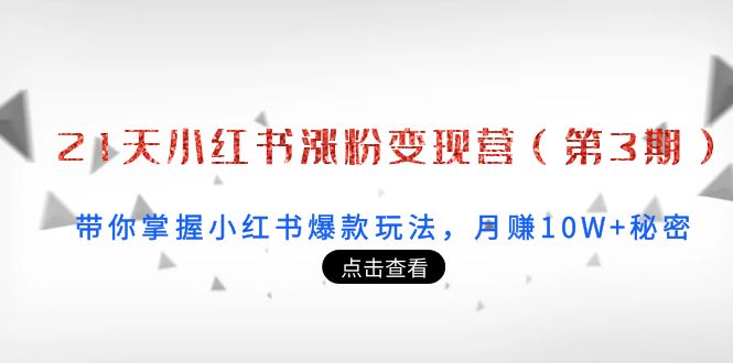 21天小红书涨粉变现营（第3期）：带你掌握小红书爆款玩法，月赚10W+秘密-网创资源社