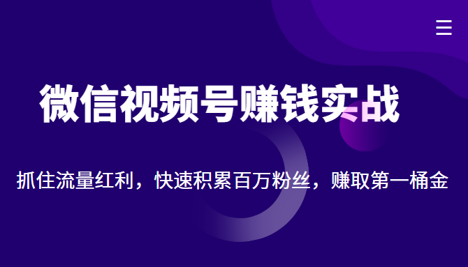 微信视频号赚钱实战：抓住流量红利，快速积累百万粉丝，赚取你的第一桶金-网创资源社