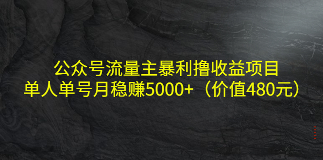 公众号流量主暴利撸收益项目，单人单号月稳赚5000+（价值480元）-网创资源社