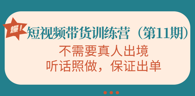 视频带货训练营，不需要真人出境，听话照做，保证出单（第11期）-网创资源社