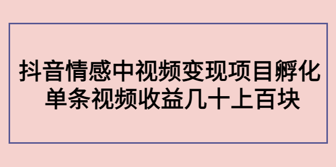 副业孵化营第5期：抖音情感中视频变现项目孵化 单条视频收益几十上百-网创资源社