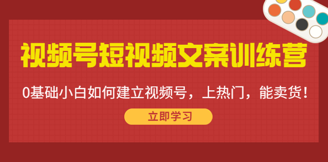 视频号短视频文案训练营：0基础小白如何建立视频号，上热门，能卖货！-网创资源社