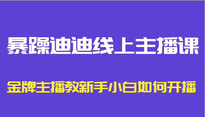 暴躁迪迪线上主播课，金牌主播教新手小白如何开播-网创资源社