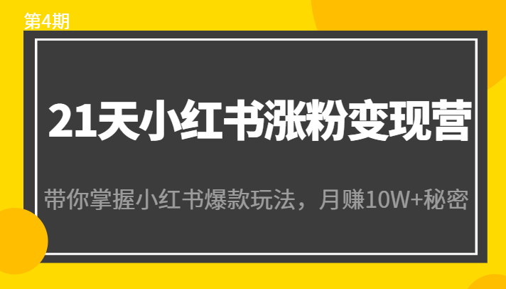 21天小红书涨粉变现营（第4期）：带你掌握小红书爆款玩法，月赚10W+秘密-网创资源社