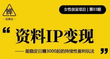 资料IP变现，能稳定日赚3000起的持续性盈利玩法-网创资源社