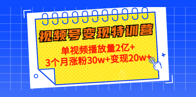 21天视频号变现特训营：单视频播放量2亿+3个月涨粉30w+变现20w+（第14期）-网创资源社