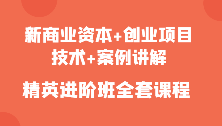 新商业资本+创业项目，技术+案例讲解，精英进阶班全套课程-网创资源社