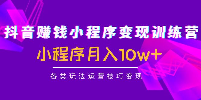 抖音赚钱小程序变现训练营：小程序月入10w+各类玩法运营技巧变现-网创资源社